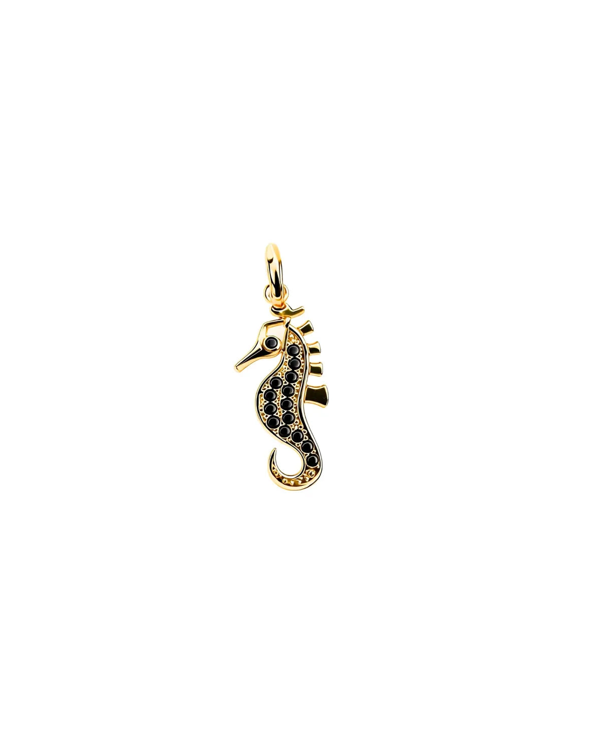 Seahorse Pendant – My Jewelist