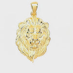 14K Gold Vermeil Lion Pendant – Video