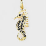 Seahorse Pendant – Video