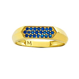 Radiance Bar 14K Gold Vermeil Ring – Duality Collection Birthstone Statement Band