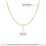 Gold Vermeil Box Chain – My Jewelist
