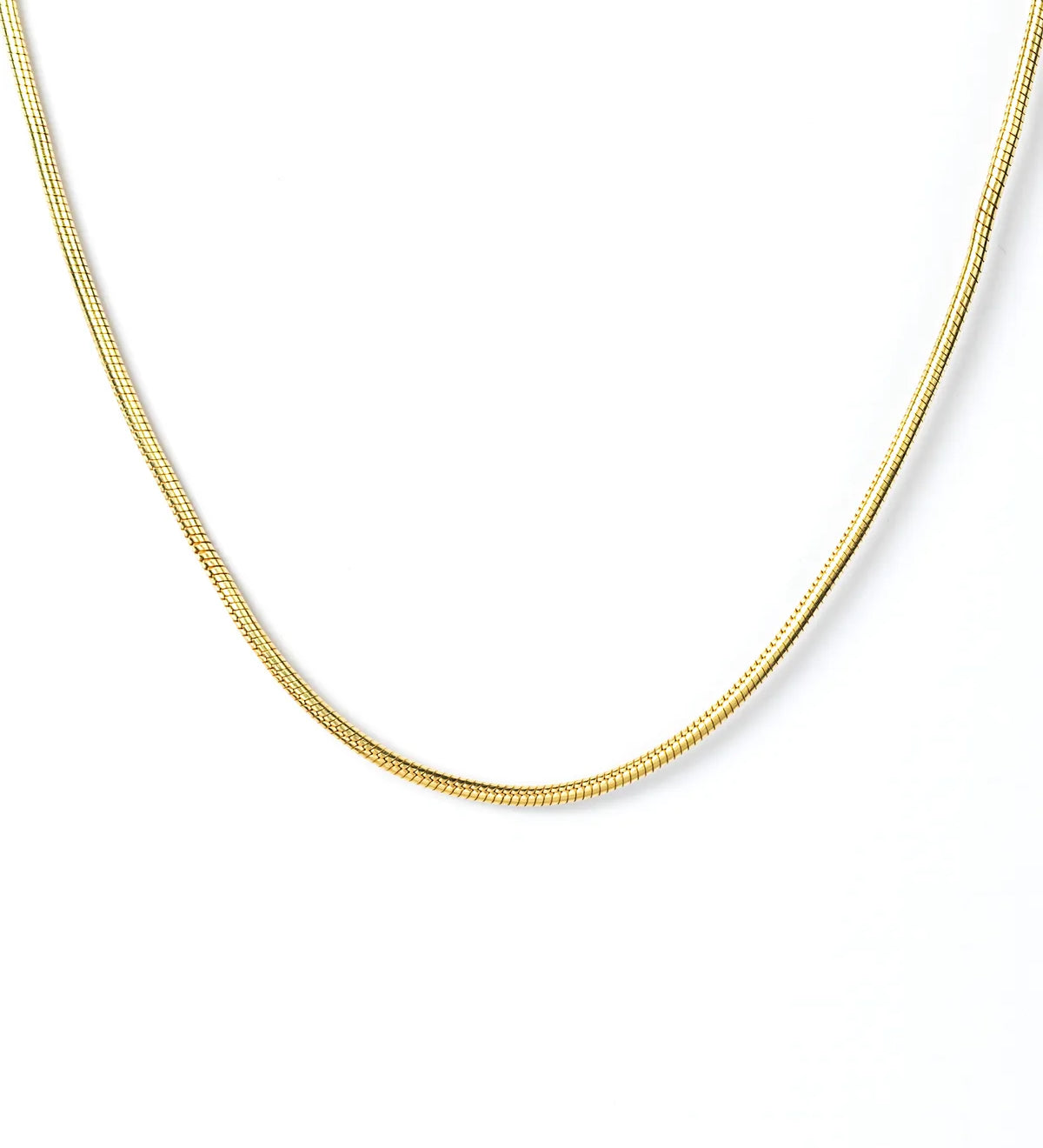 Snake Chain Necklace – My Jewelist